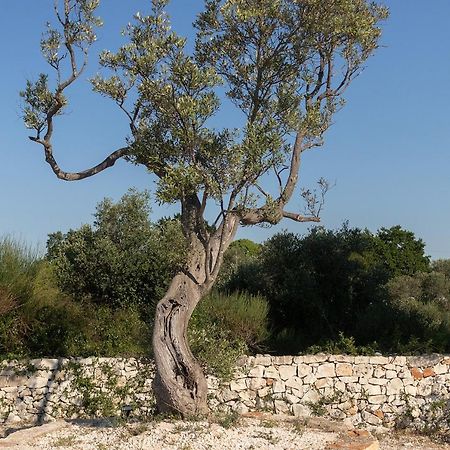 Trullo Carsico By Itriahomes Ceglie Messapica Exteriör bild