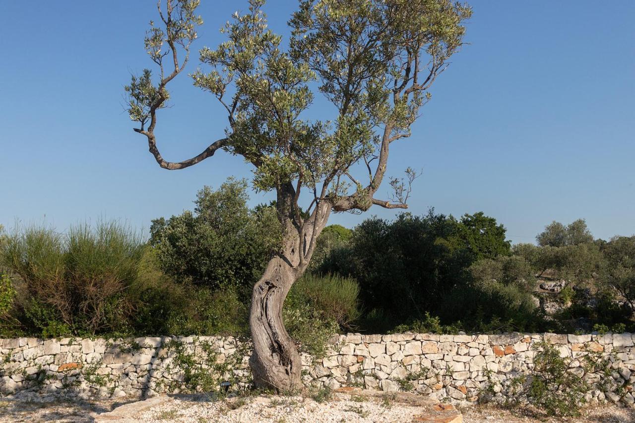 Trullo Carsico By Itriahomes Ceglie Messapica Exteriör bild